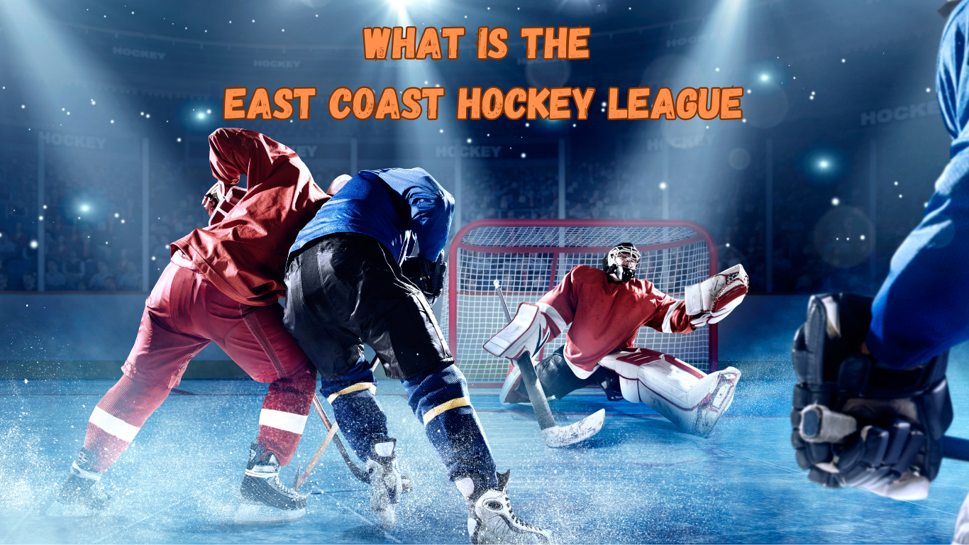 What is the East Coast Hockey League in Ice Hockey?